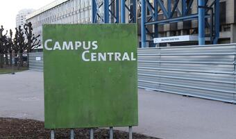 Molestowanie problemem uczelni wyższych?