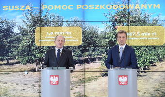 Rząd o suszy: stanu klęski żywiołowej nie będzie. Odszkodowania dostanie tylko część rolników