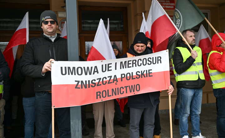 Ogólnopolski protest rolników przeciwko umowie z Mercosur, 30 bm. przed Podkarpackim Urzędem Wojewódzkim w Rzeszowie / autor: PAP/Darek Delmanowicz