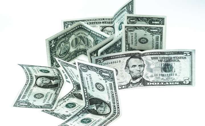 Amerykański dolar ulega unijnej walucie, na czym korzysta złoty / autor: Pixabay