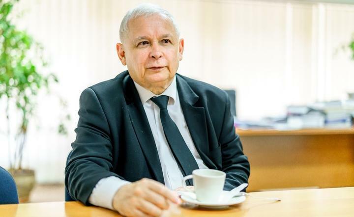 wicepremier, prezes PIS Jarosław Kaczyński / autor: Fratria