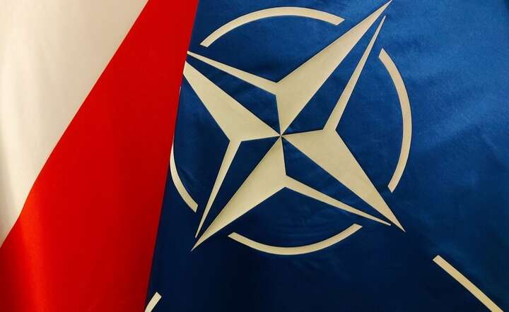 Polska w oczach sojuszników: kluczowe państwo graniczne NATO / autor: Fratria / MK