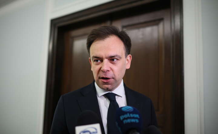 Minister finansów i gospodarki Andrzej Domański / autor: PAP