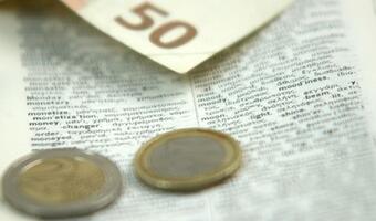 Kiedy przyjąć euro? Lekcje z Północy i z Południa