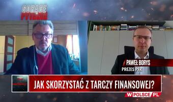 Jak skorzystać z Tarczy Finansowej? VIDEO