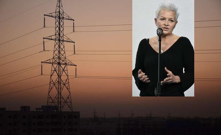 Anna Łukaszewska-Trzeciakowska: przez plany Brukseli będziemy mieć problemy z bezpieczeństwem dostaw energii / autor: Pixabay / Fratria