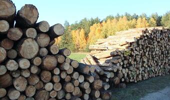 Za histerię smogową zapłacą polskie lasy i polscy górnicy
