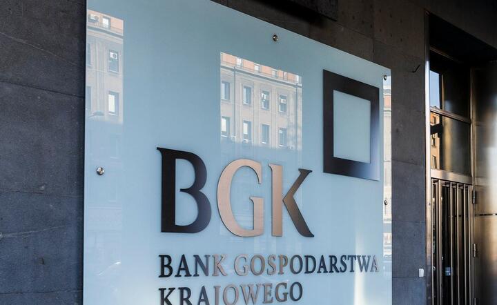 BGK / autor: Fratria