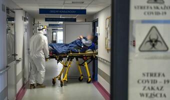 MZ: Blisko 37 tys. nowych zakażeń, zmarły 252 osoby