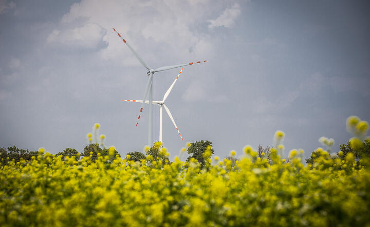 Farma wiatrowa Grupy Tauron / autor: materiały prasowe Tauron