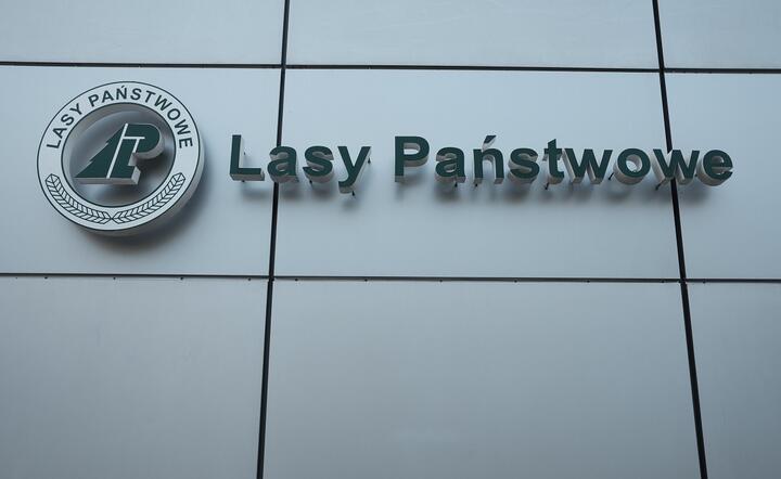 Lasy Państwowe / autor: Fratria