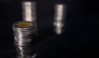 GAZETA BANKOWA: Chude lata ETF-ów