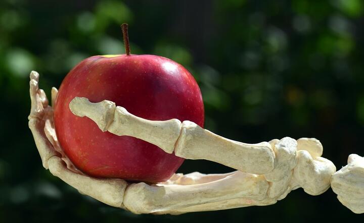 Sukces ekologicznej spółki StraBerry opierał się na niewolniczej pracy nielegalnych imigrantów, głównie z czarnej Afryki / autor: Pixabay