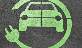 Polacy są pozytywnie nastawieni do zielonej energii
