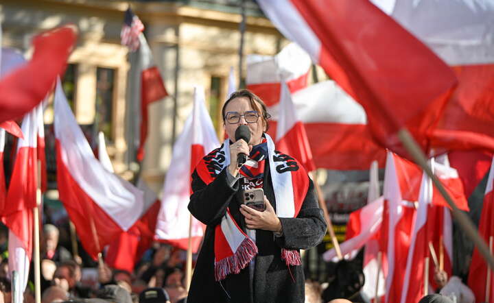 Zorganizowana przez Prawo i Sprawiedliwość manifestacja przed Trybunałem Konstytucyjnym / autor: PAP/Marcin Obara