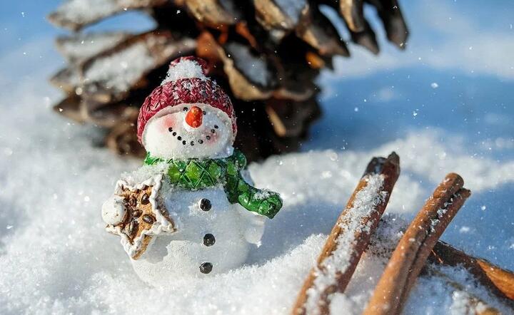fot. Pixabay / autor: fot. Pixabay