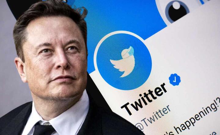 Elon Musk / autor: Shutterstock.com