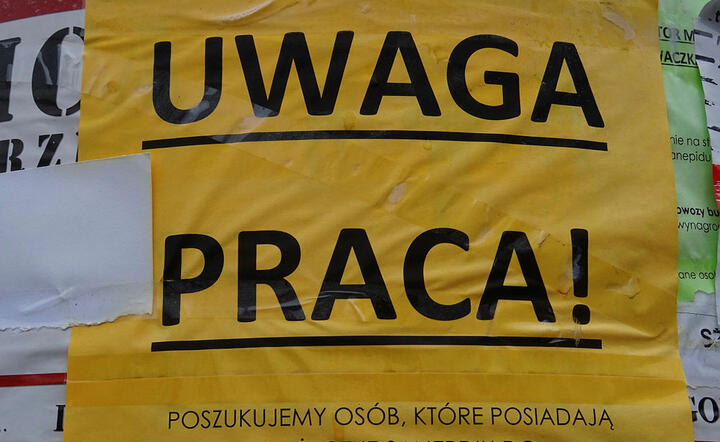 Praca / autor: Fratria