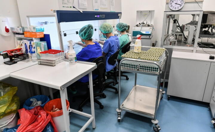 Laboratoria BioMaxima SA / autor: PAP