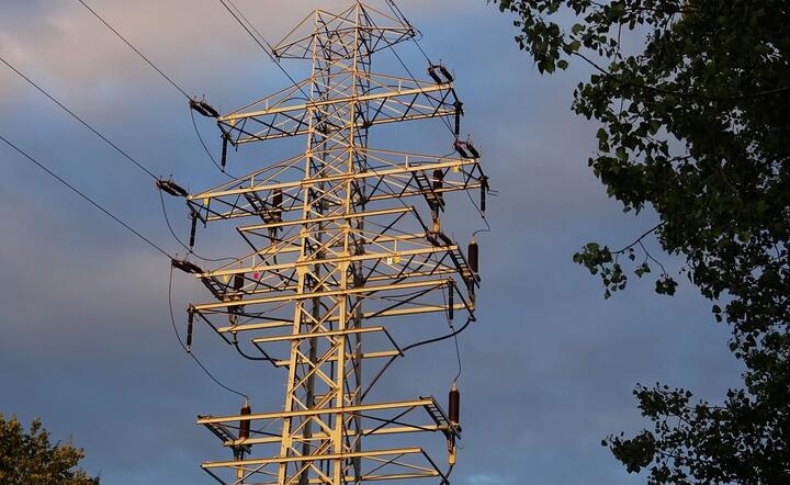 Elektrownia atomowa w Enerhodarze otrzymuje znów energię elektryczną niezbędną do chłodzenia reaktorów / autor: Fratria / MK