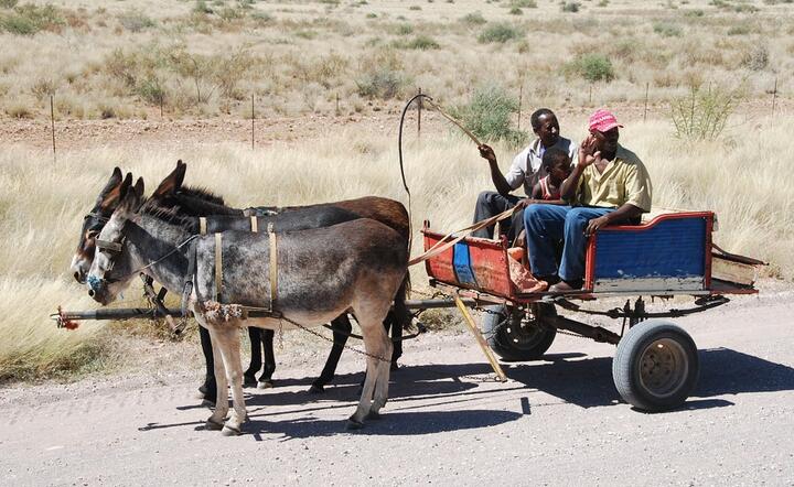 Namibia / autor: Pixabay