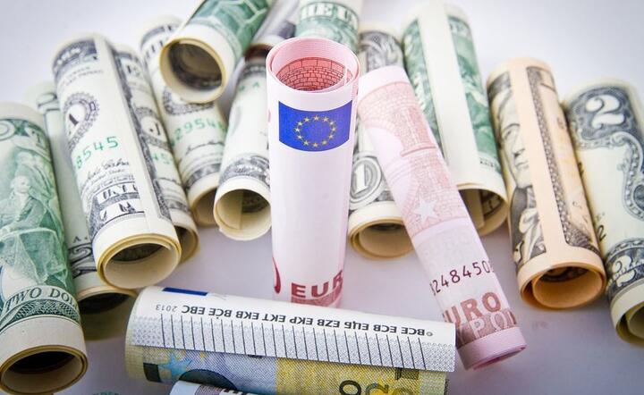 Środki finansowe  / autor: Pixabay