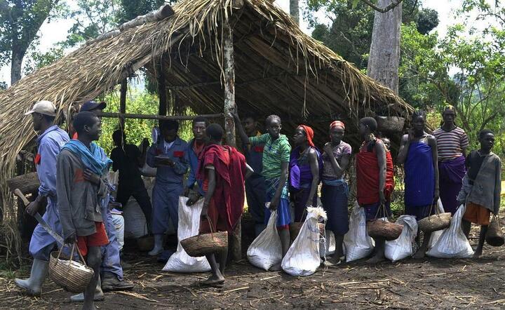Już dziś na skraju głodu jest ludność w części Etiopii, Kenii, Somalii, Sudanu Płd. / autor: Pixabay
