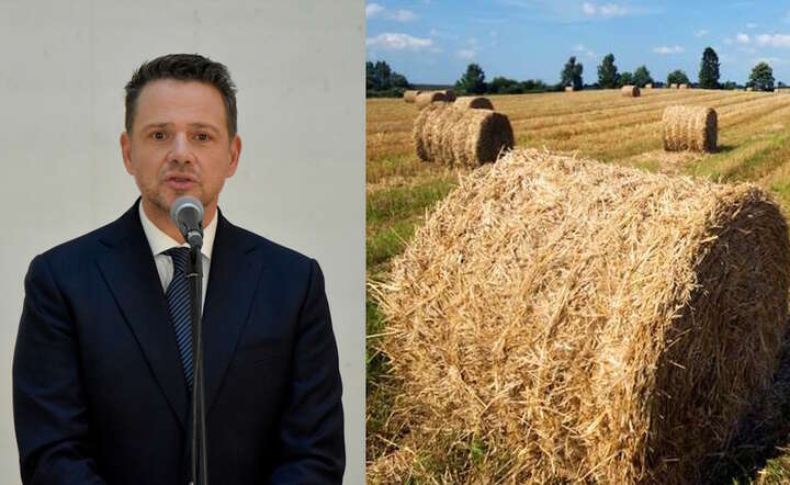 Tonę siana można dziś kupić w Polsce za 150 do 300 złotych / autor: Fratria/Freepik