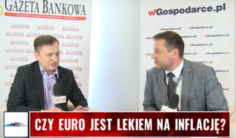Prof. Hardt: Przyjąć euro, gdy wyjdą z niego Niemcy?