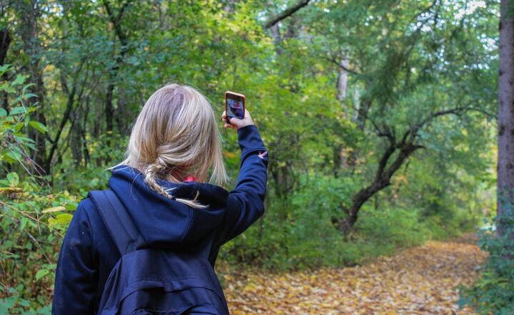 Tym selfie przekroczyli granicę. Na widok mandatu osłupiała