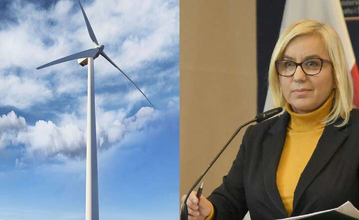 Minister klimatu Paulina Hennig-Kloska chce totalnej liberalizacji wymogów odległościowych / autor: Pixabay / Fratria