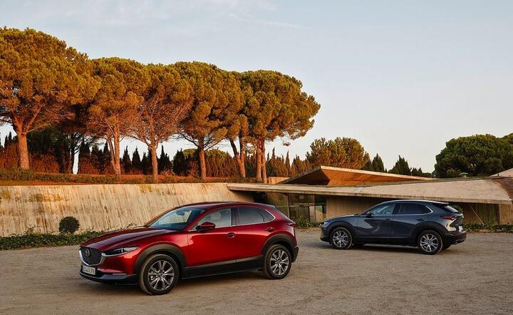 Mazda XC 30 / autor: Materiały prasowe