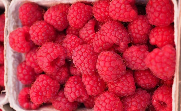 Maliny / autor: Pixabay