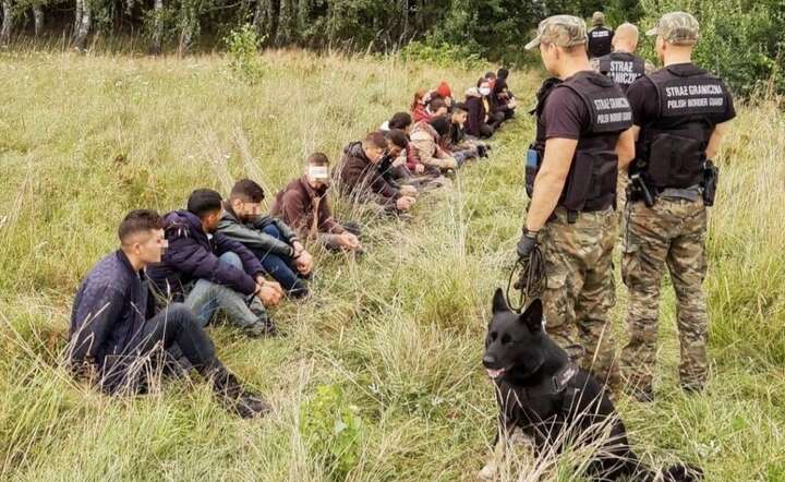 430 nielegalnych uchodźców usiłowało sforsować naszą wschodnią granicę w ciągu ostatnich 3 dni / autor: Straż Graniczna