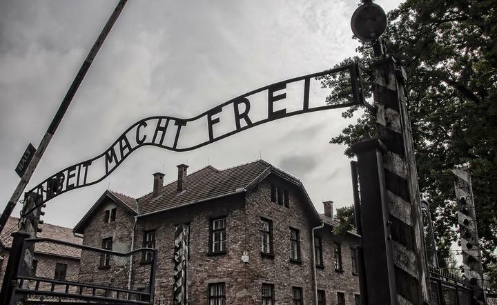 Arbeit macht frei / autor: Pixabay