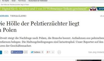 "Die Welt" oskarża dziennikarzy wGospodarce.pl o kłamstwa i przyjmowanie łapówek