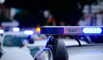 Służby rozbiły gang złodziei samochodów