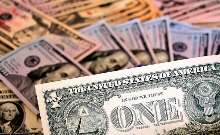 Dolar  / autor: Pixabay 