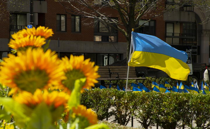 Wojna na Ukrainie / autor: PAP/EPA/