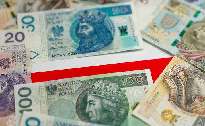 Sejm powołał Radę Fiskalną / autor: Fratria / AS