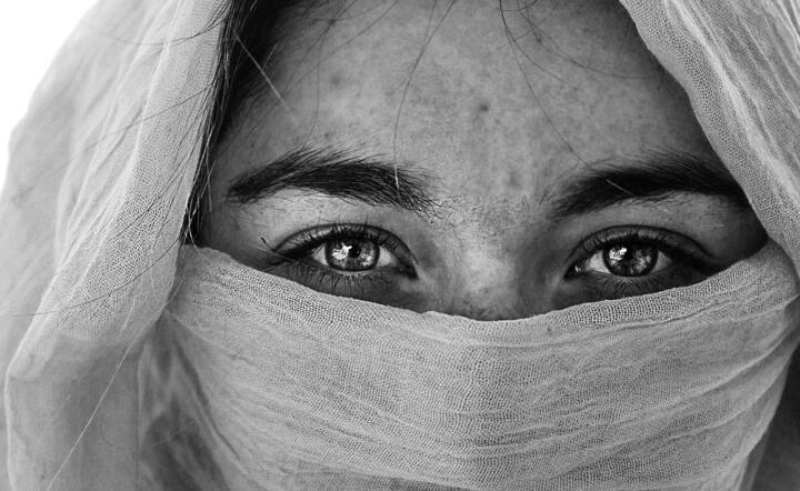 niewola / autor: pixabay