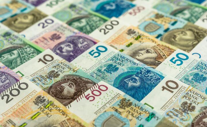 Banknoty - zdjęcie ilustracyjne / autor: Fratria