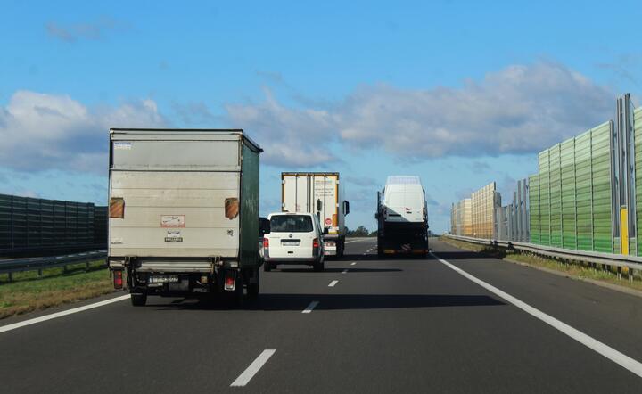 Transport / autor: Fratria
