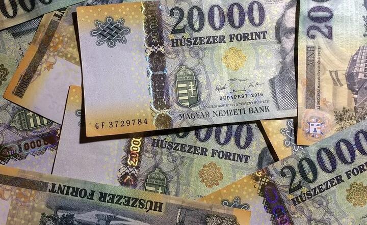 Forint / autor: Pixabay