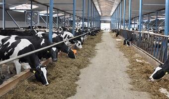 Ruszyła pomoc covidowa z PROW 2014-2020