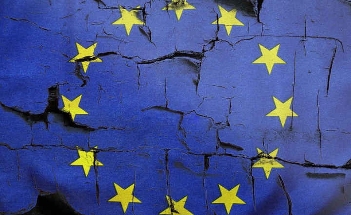 Zdjęcie ilustracyjne / autor: Pexels.com