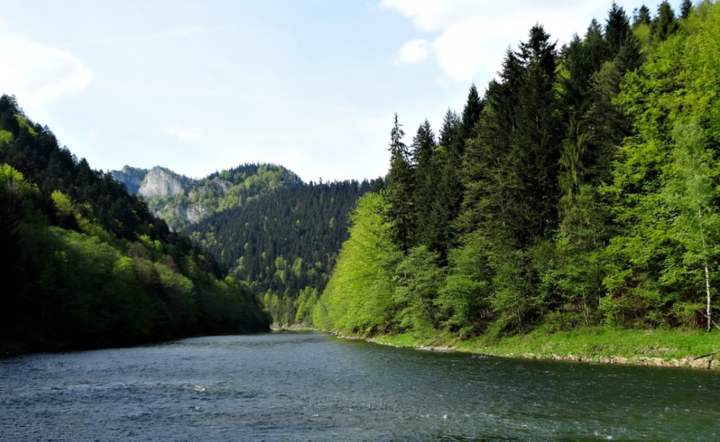Dunajec / autor: Pixabay