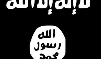 Analityk: ISIS niczym franczyza biznesowa