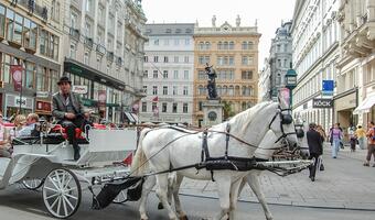 20 państw krytykuje rząd Austrii