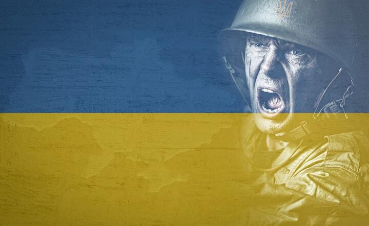 Ukraina / autor: Pixabay